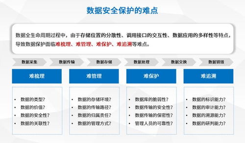 盛邦安全推出數(shù)據(jù)流轉安全服務 為數(shù)據(jù)全生命周期安全防護注入新動能